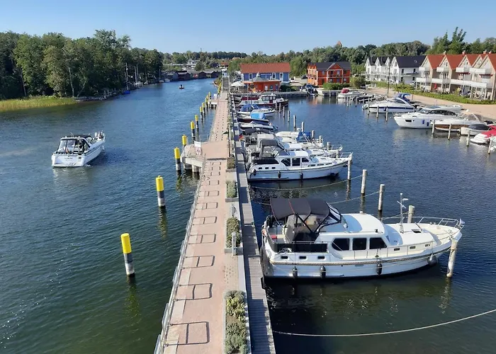 Daire Kapluv Plau Am *