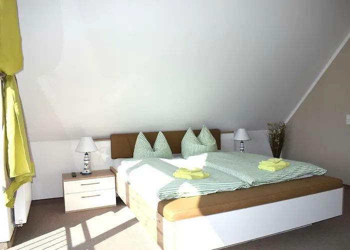 Daire Kapluv Plau Am