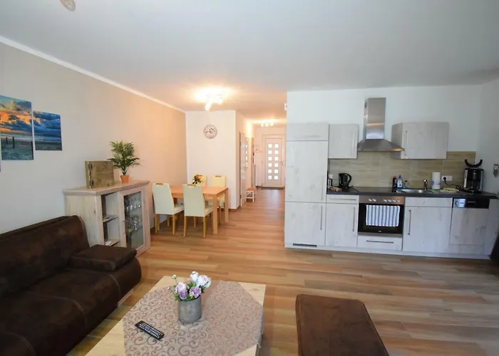 Kapluv Plau Am Daire *