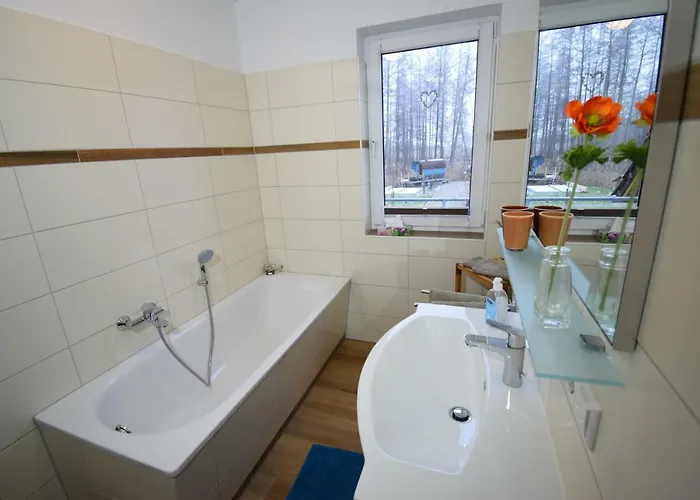 Kapluv Plau Am Daire *