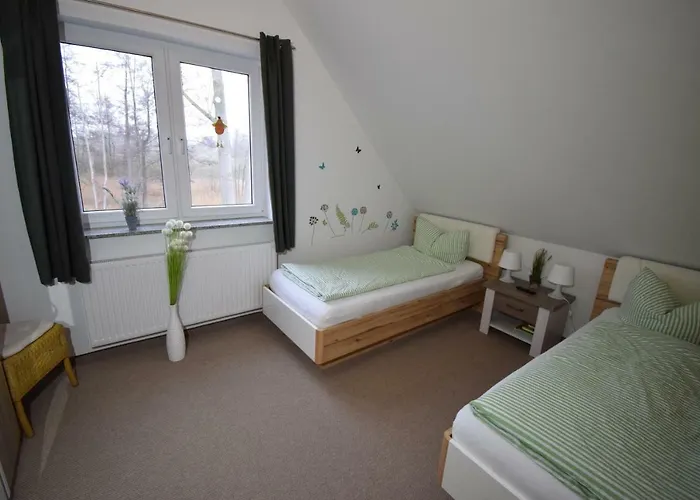 Kapluv Plau Am Daire *