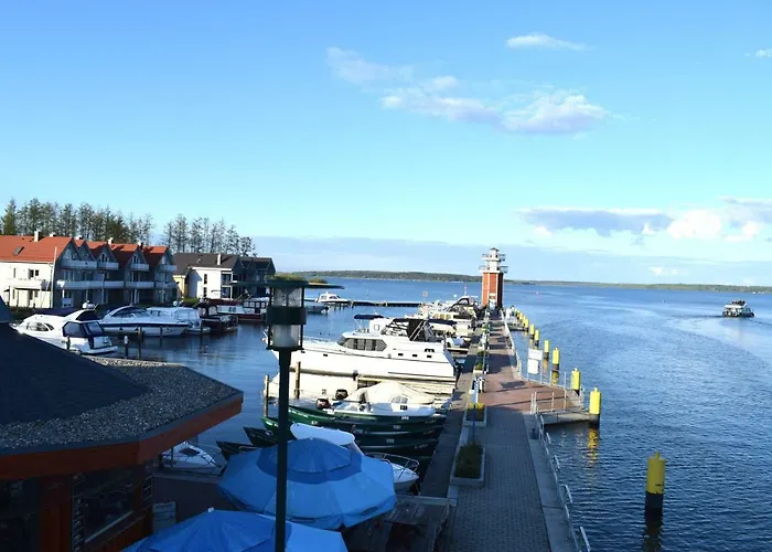 Kapluv Plau Am Daire