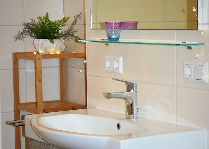 Daire Kapluv Plau Am *