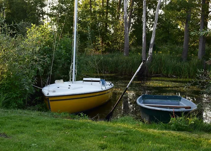 Kapluv Plau Am Daire