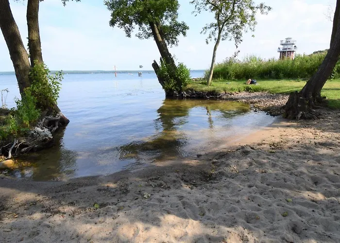 Daire Kapluv Plau Am *