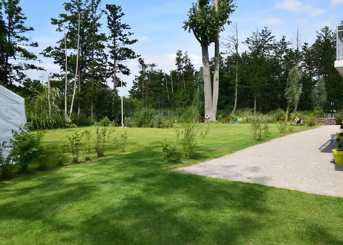 Daire Kapluv Plau Am