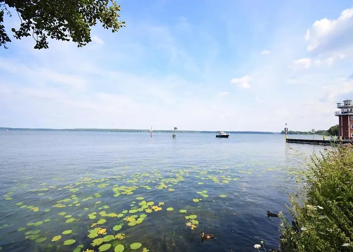 Daire Kapluv Plau Am