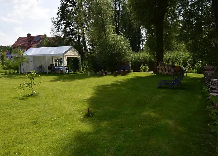 Kapluv Plau Am Daire